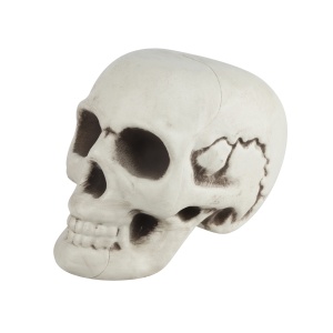 8c110b48_1c74_4150_8def_8df9c32605c7_2fff98be_47cf_11ee_9234_3cecef035c95