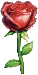 40e74338_1d70_49f0_91d6_c01e55f05ef1_f80871de_51ac_11f0_b639_5c6f6916e93d