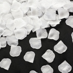 25fe050c_ba2a_49b2_9bf4_6373894b8319_8e3c4de5_9e2c_11ee_9235_3cecef035c95